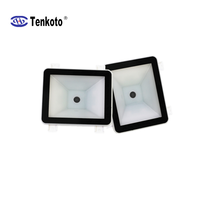 TM306-4.jpg